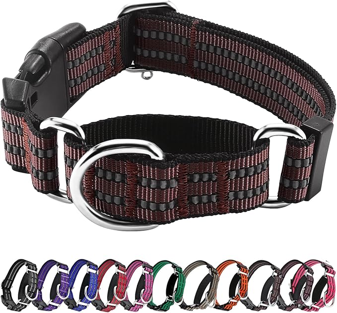 Hikiko Martingale Dog Collars Reflective Nylon Dog Collar by Hikiko