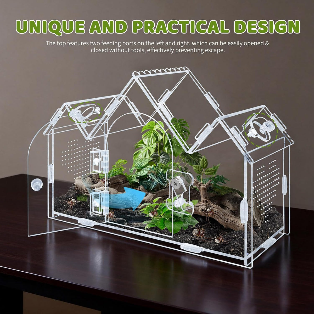Castle Style Jumping Spider Enclosure, 9.5"x4.3"x6.7"Acrylic Cabin Terrarium with Front Opening Door & Feeding Holes, Insect Terrarium Kit