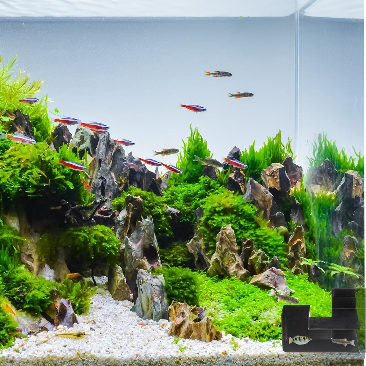 Nuanchu 2 Pcs Aquarium Underground Tunnel, Dual-Entrance Fish Hideout Cave