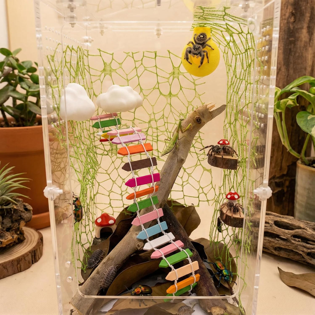 Jumping Spider Habitat Decor Kit with Platforms, Hideouts & Accessories