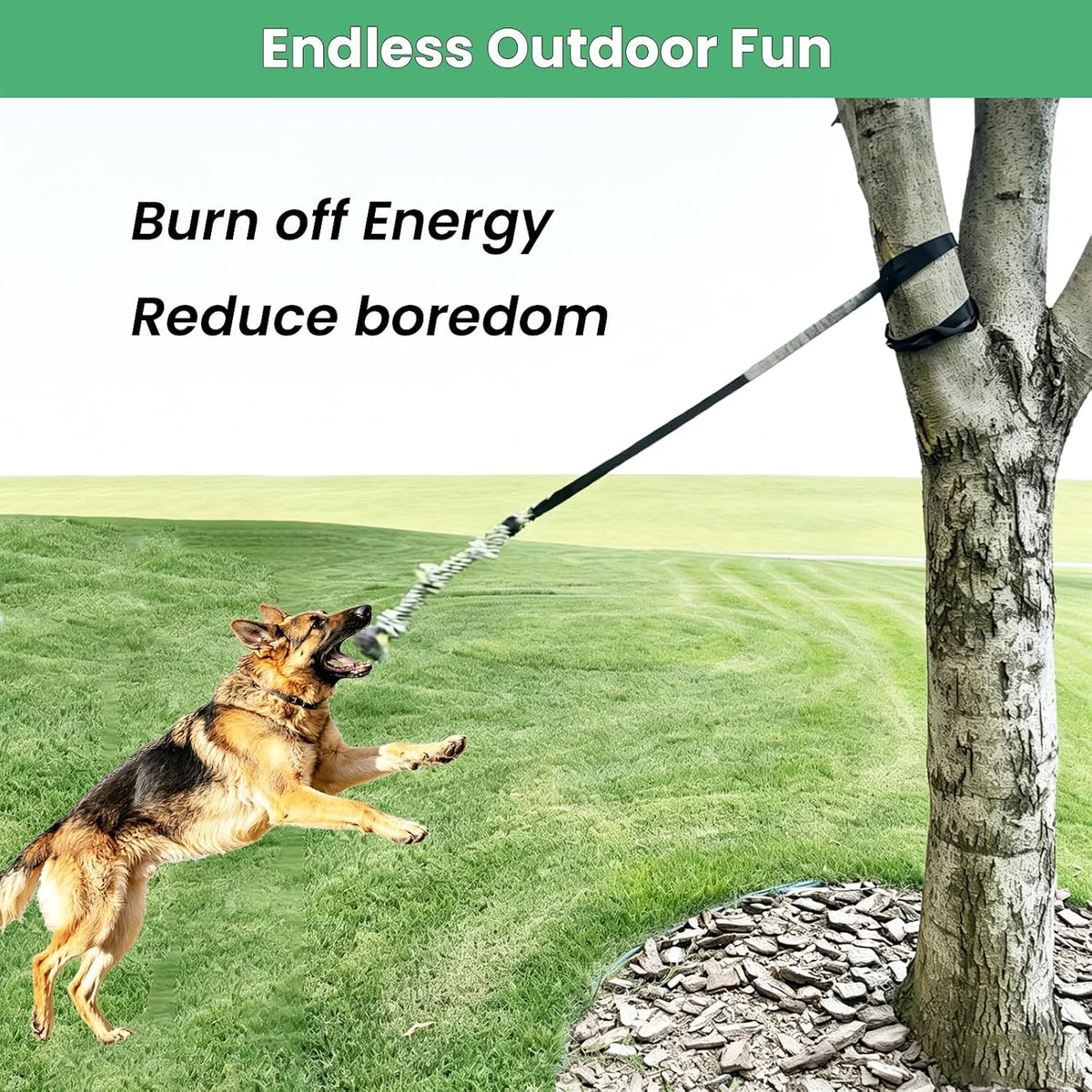 Outdoor Tree Hanging Bungee Tug Toy, Interactive Tether Rope for Large Dogs