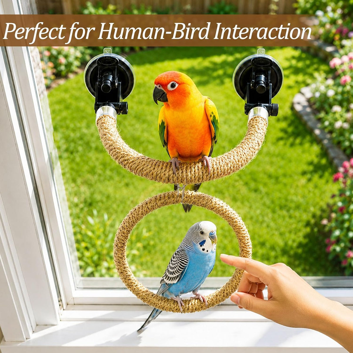 Natural Flax Bird Perch Window Stand for Climbing Grinding, Strong Suction Cup Bird Perch, Movable Parrot Perch Stand for Window Mirror Bath Car, Window Perch for Birds Cockatoo Parrot Cockatiel