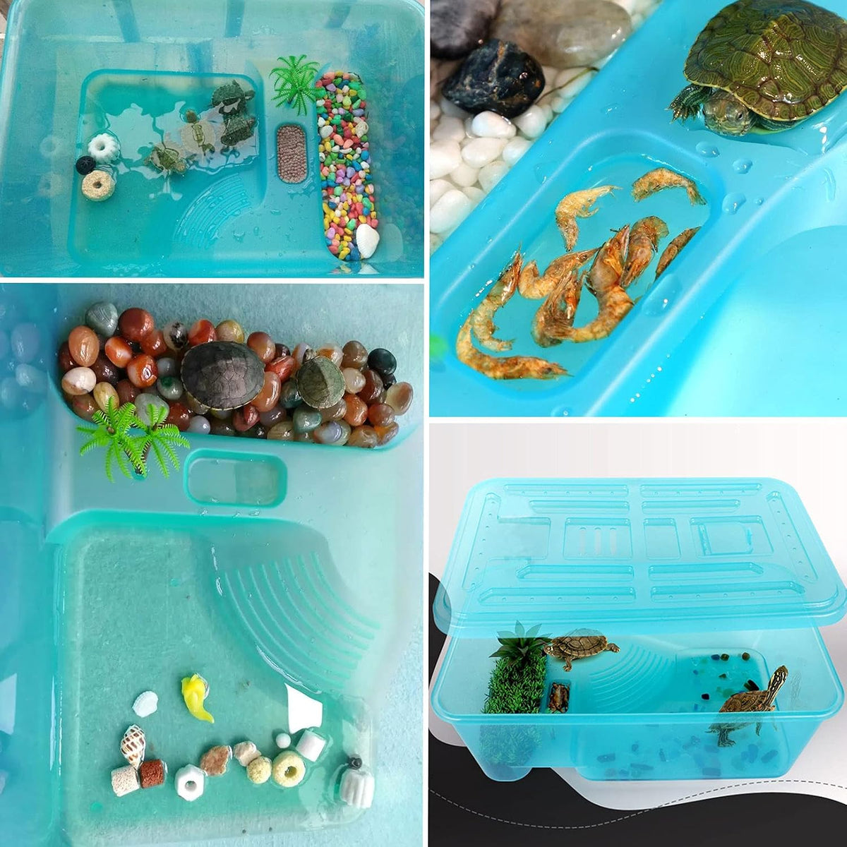 kathson Turtle Tank Aquarium, Turtle Habitat Reptile Plastic Terrarium Safe Durable, Tortoise Tank with Lid Prevent from Climbing Escaping (Small)
