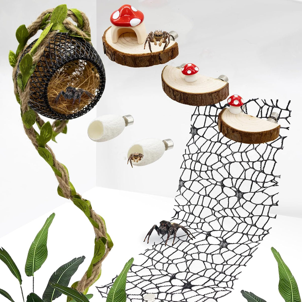 Jumping Spider Habitat Accessories Enclosure Habitat Accessories Jumping Spider Web Climbing and Feeding Platforms with Magnets for Small Insects Critters