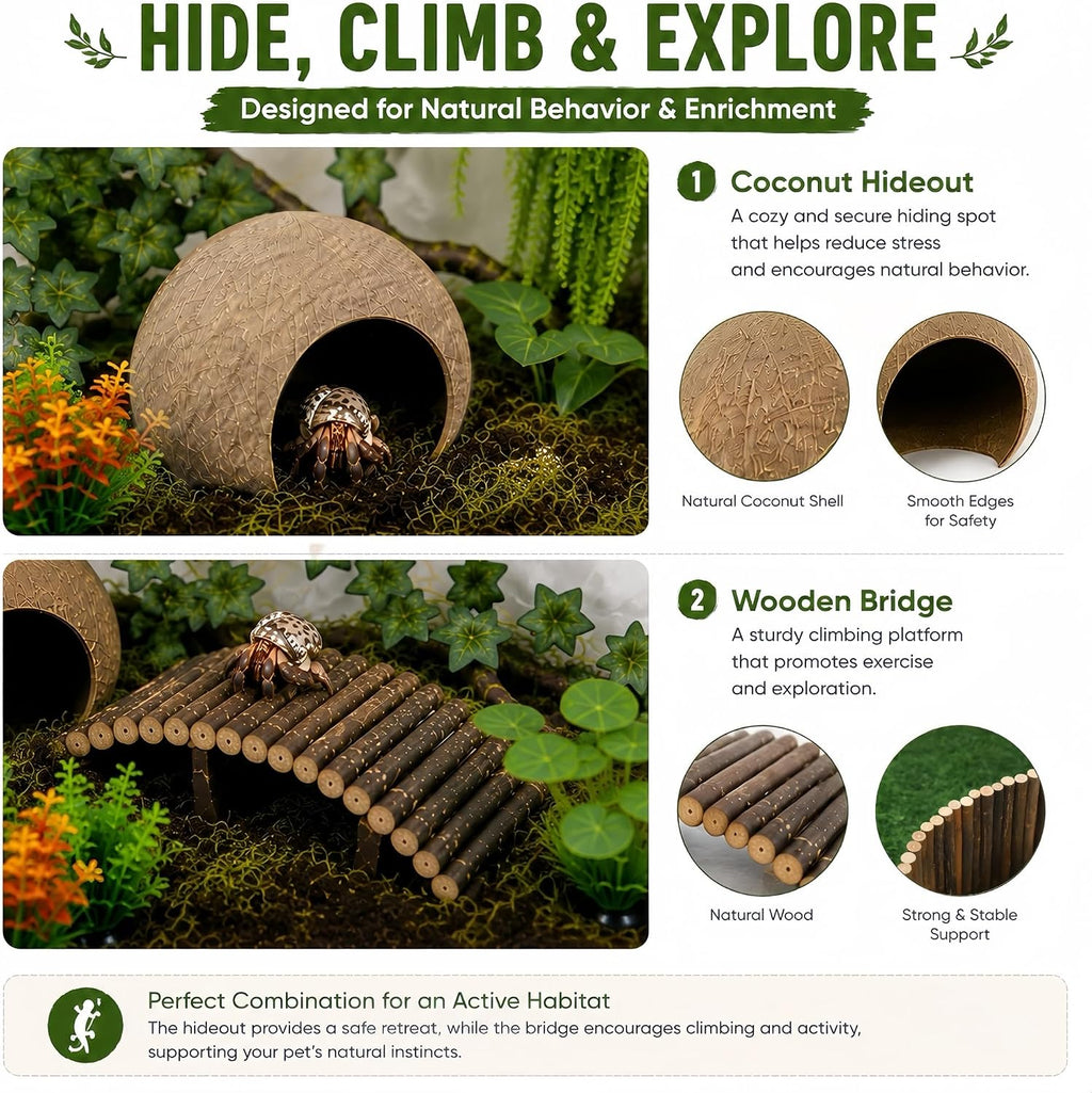Hermit Crab Tank Accessories Kit, Coconut Hideout & Climbing Bridge