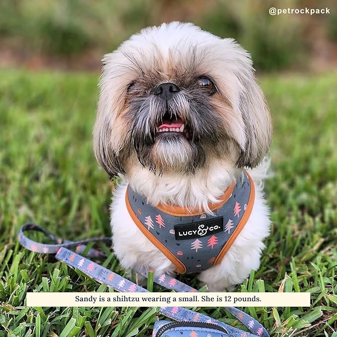 Lucy & Co. Take a Hike Reversible Dog Harness - Image 3