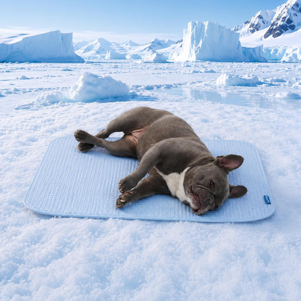 Spark Paws FrostCore Dog Cooling Mat - Non Gel Self Cooling Pet Pad