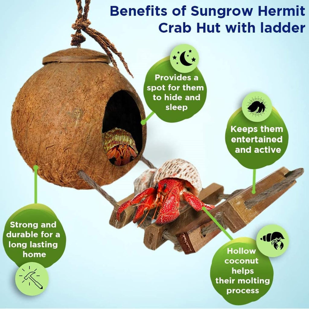 SunGrow Hermit Crab Coco Hut with Ladder, Hamster & Hermit Crab Hideout, Coconut Hide for Reptiles, Crab Cage Climbing Toys, Coconut Shell Mouse House, Habitat Tank Accessories, 5"