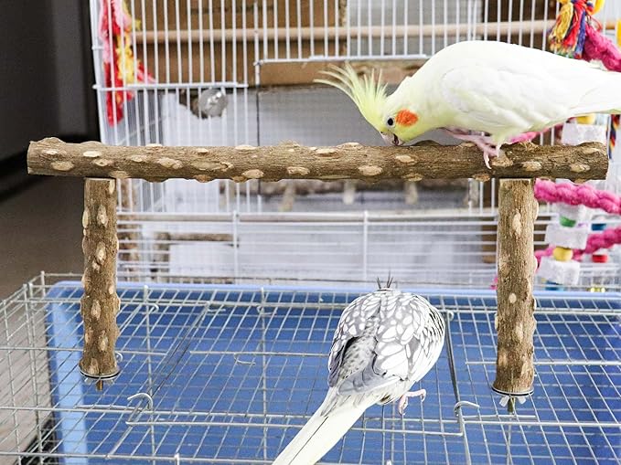 Large Natural Pepper Wood Parrot Stand Branch, Wooden Perch - Image 2
