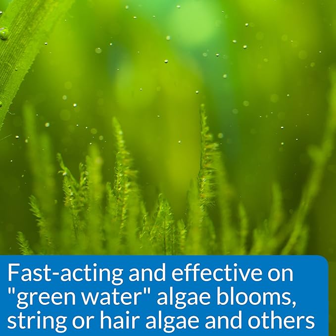 API ALGAEFIX Algae Control 16-Ounce Bottle - Image 3