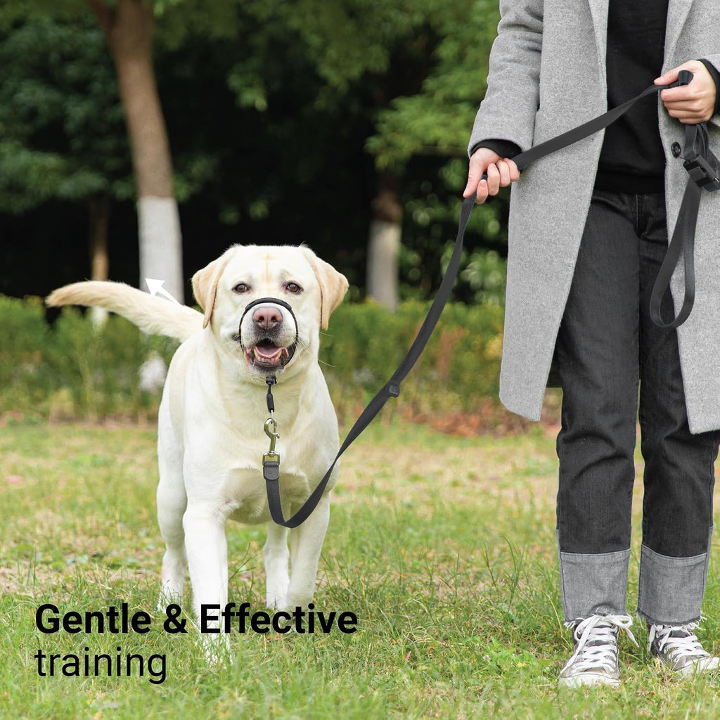 SVD.PET No-Pull Dog Headcollar for Easier Walks, Chew-Proof Protector to Increase Comfort, Simple Design, Easy to Wear and Adjust (Medium Size for Small and Medium Size Dogs)