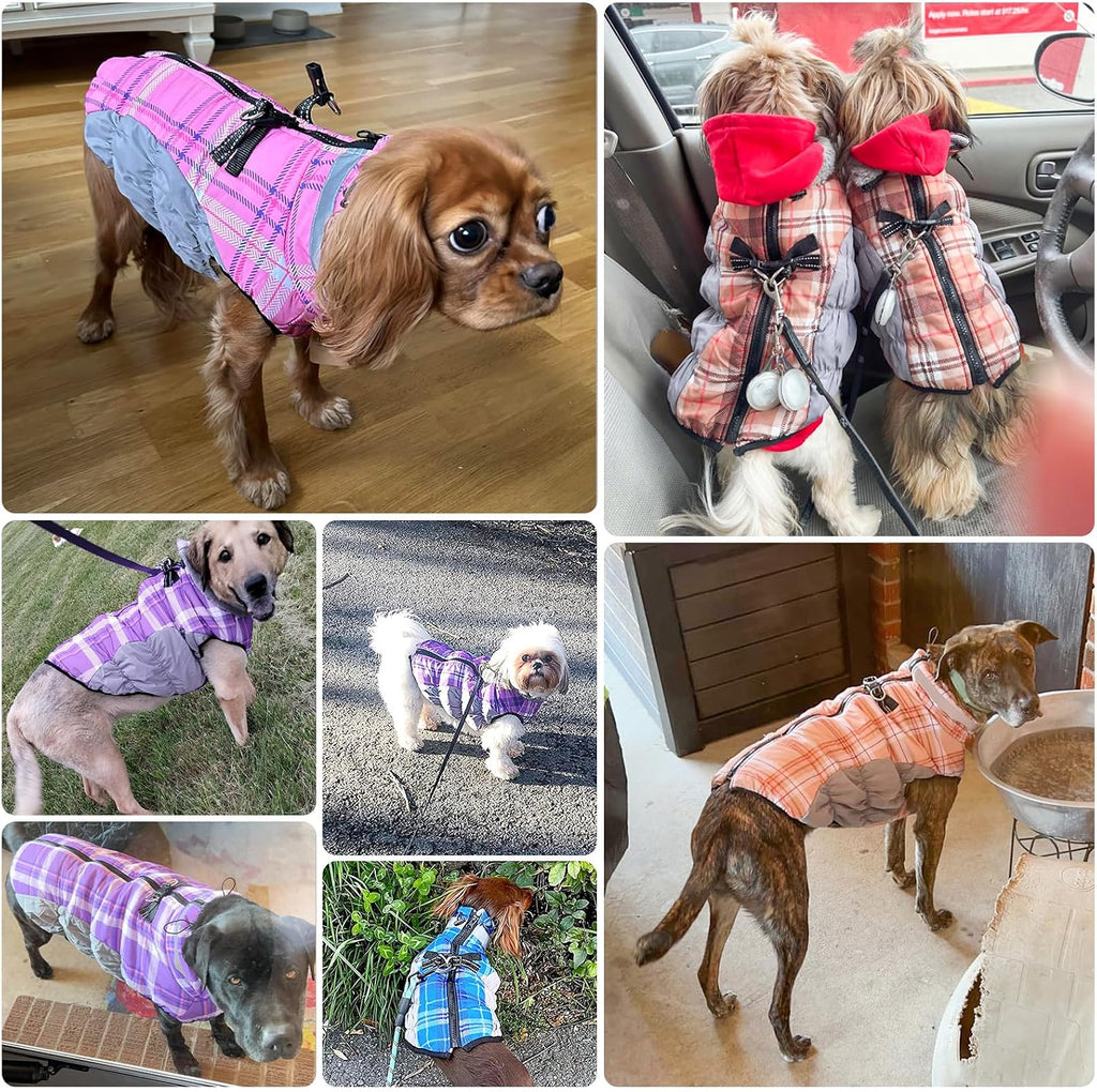 BEAUTYZOO Dog Winter Coat with Harness Built in, Waterproof Puffer Jacket