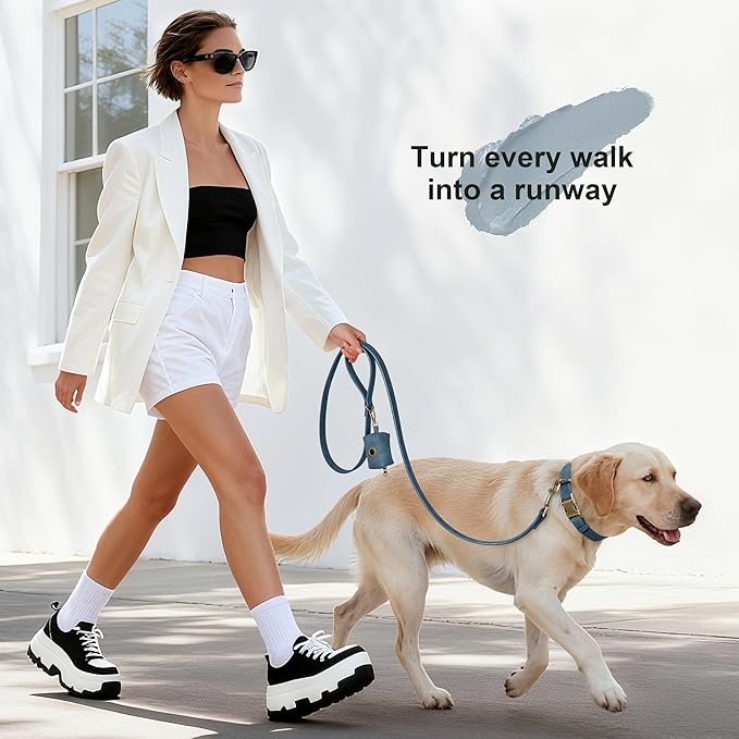 Didog Soft PU Leather Dog Collar, Stylish Quick Released Dog Collar - Image 4