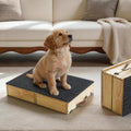 Solid Wood Dog Training Platform, Non-Skid Dog Place Board with Carpet Surface, Portable Dogs Agility Equipment, Connectble Dogs Training Floor Protection Trays for Behavior Basics, 24x16in