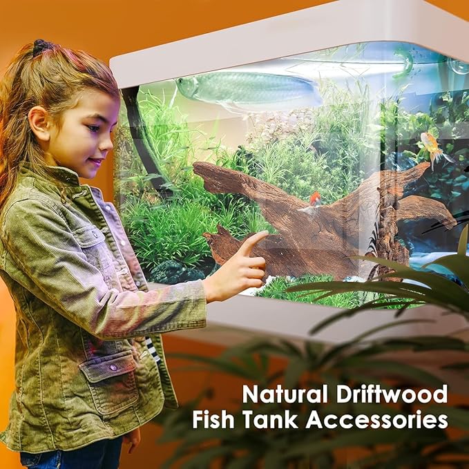 Jorewood Natural Small Aquarium Driftwood - Image 4