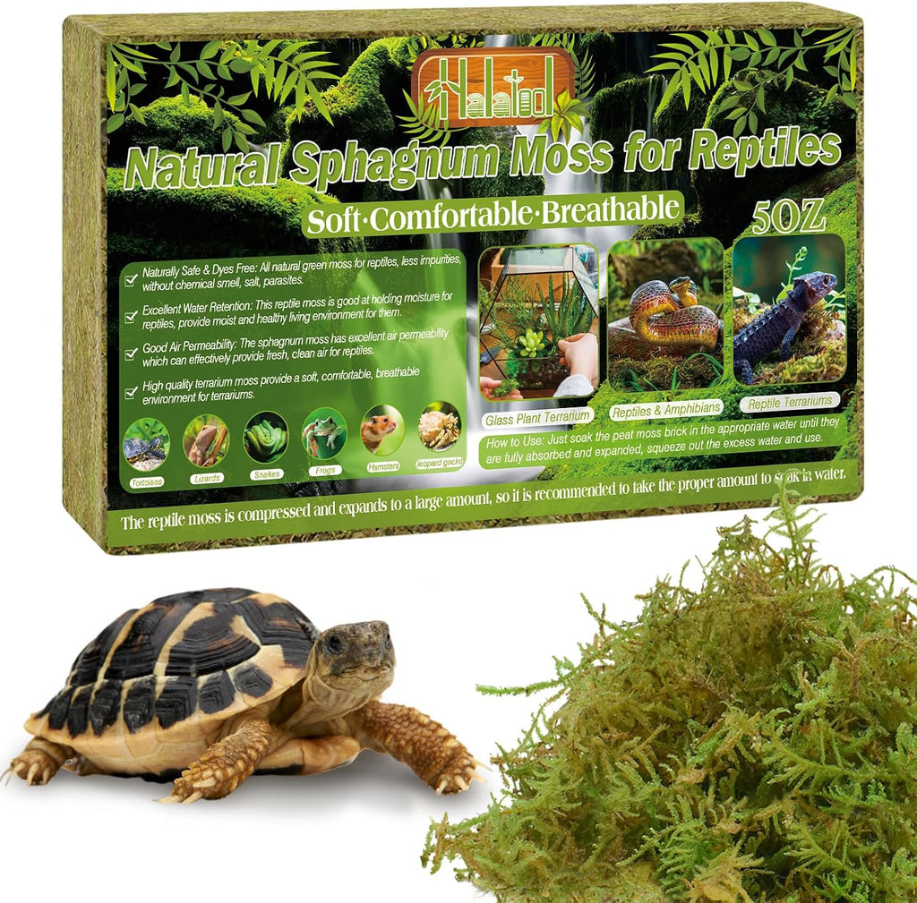 Halatool 12 OZ Sphagnum Moss for Reptiles - Green Terrarium Moss