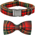 Dog Collar - Thanksgiving Turkey Dog Collar Bowtie Gift Puppy Soft Bow by BoboRainbow