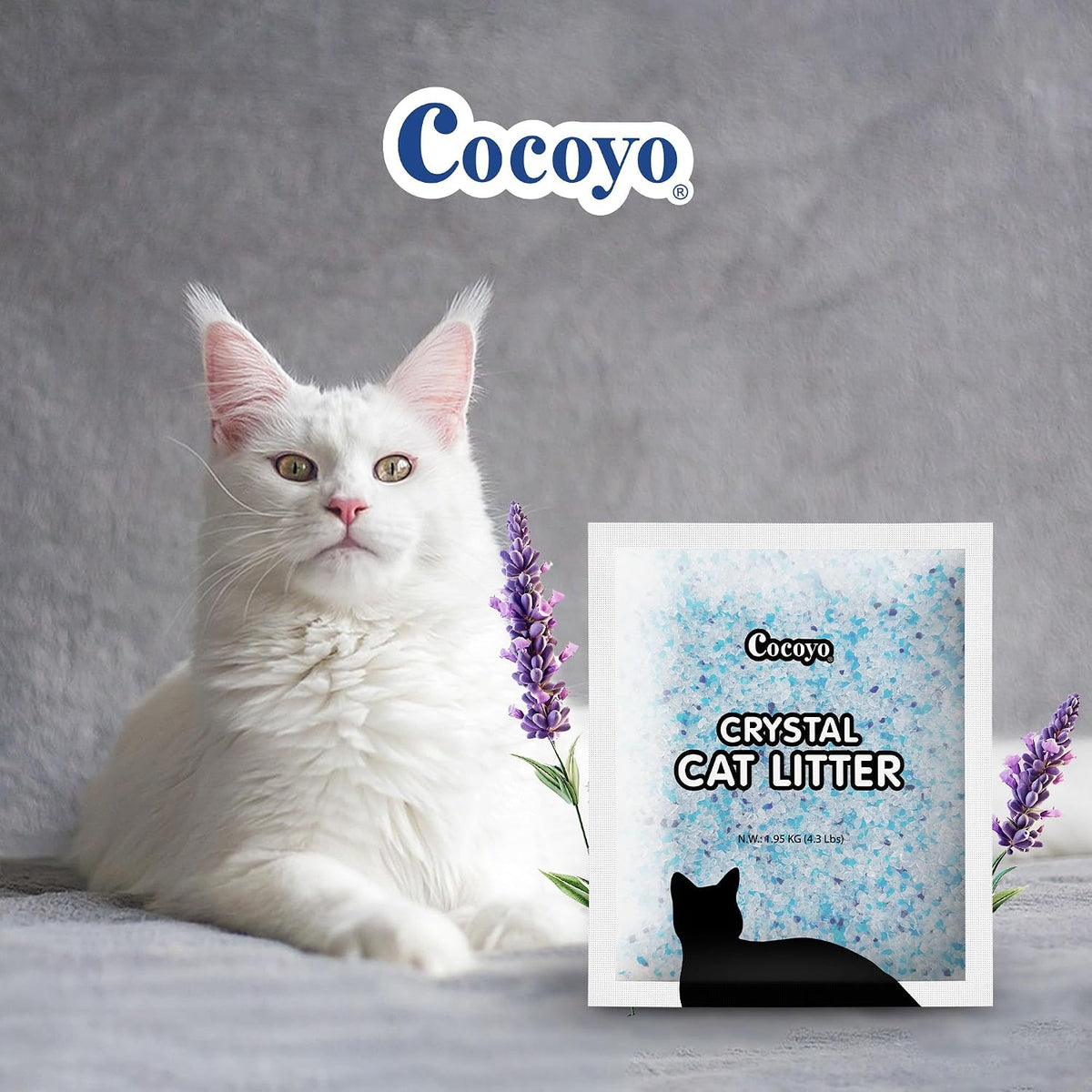COCOYO Lavender-Scented Crystal Cat Litter I Silica Gel Cat Litter – 17.2 Lbs Value Pack (4.3 Lbs x 4)