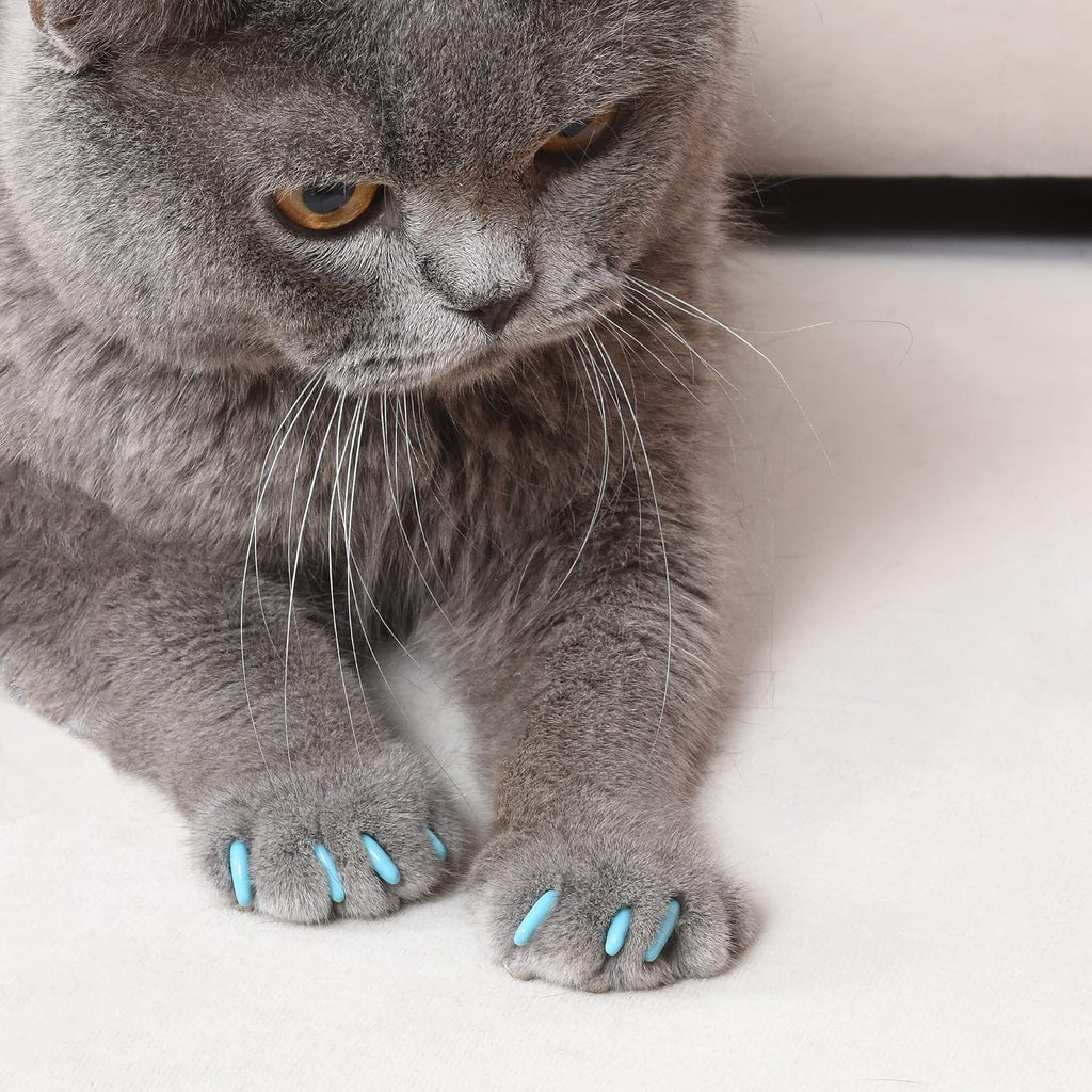Kitty Caps Nail Caps for Cats, Black with Gray Tips & Baby Blue - Safe, Stylish & Humane Alternative to Declawing Stops Snags & Scratches, Small (6-8 lbs), 40 Count - 3 Pack