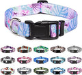 Mercano Adjustable Dog Collar by Unknown