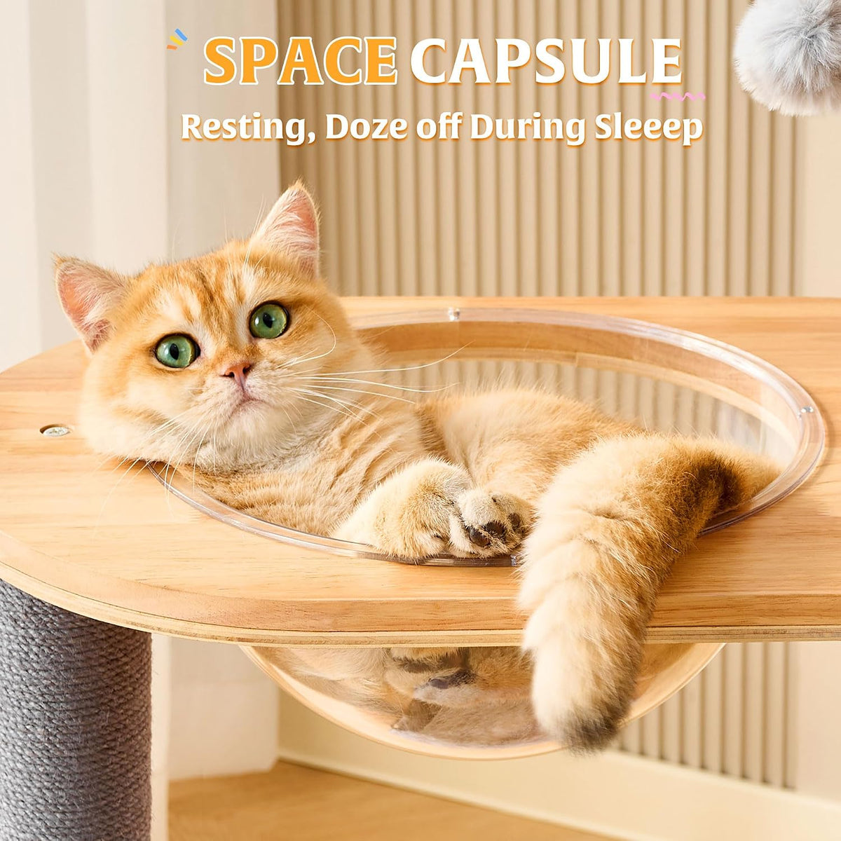 Solid Wood Cat Tree Tower with Scratching Post, 52 Inches Tall Cat Towers with Scratching Board and Scratcher Ball, Modern Cat Tower with Space Capsule and Removable Top Bed for Indoor Cats