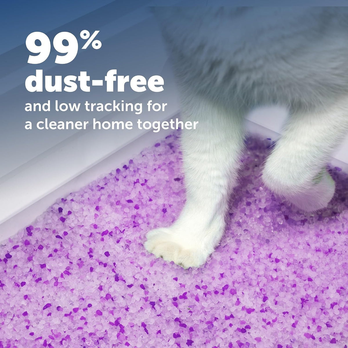 PetSafe ScoopFree Disposable Crystal Cat Litter Trays, Lavender, 2-Pack