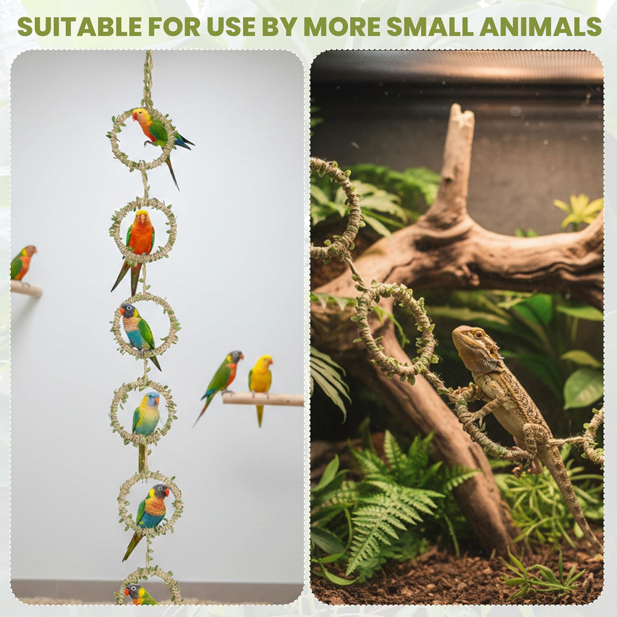 Snake Climbing Rings for Ball Python & Corn Snake, Reptile Toys