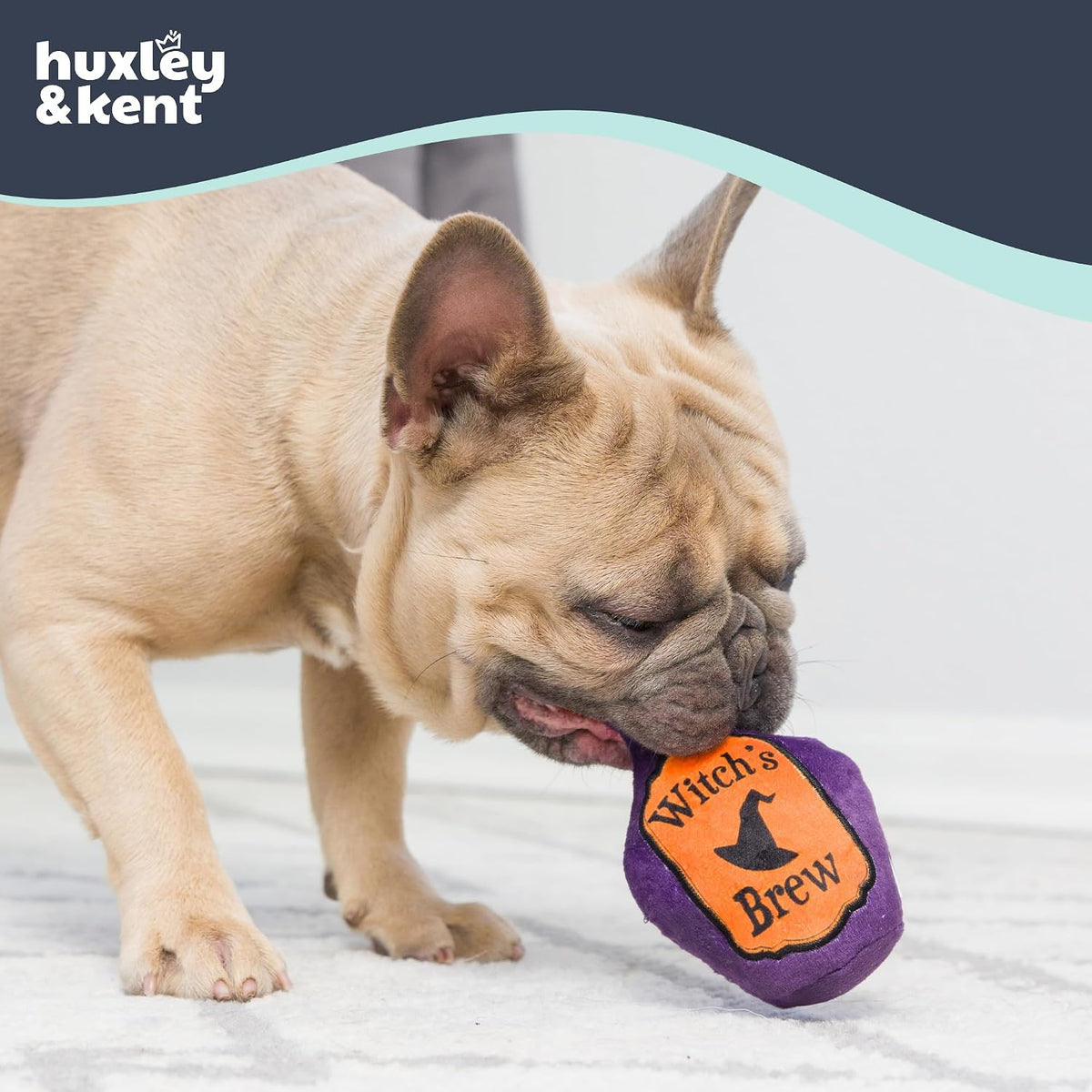 Huxley & Kent Tiny Tuff Plush Dog Toy, Witch's Harvest (2 Pack)
