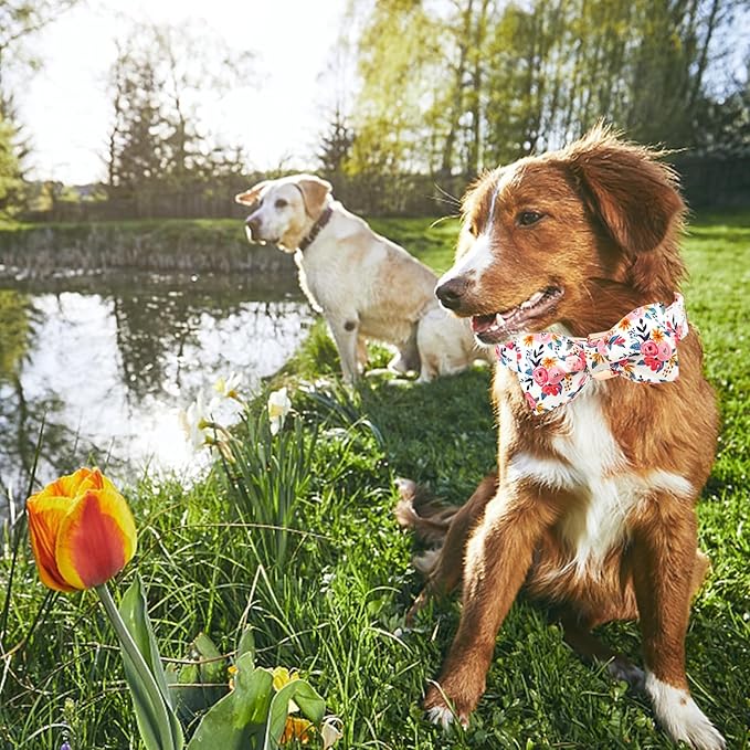 Lionheart glory Dog Collar Bow Collar Floral Dog Collar - Image 6