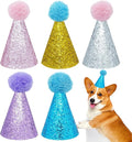 PET SHOW 5 Pack Small Dog Birthday Hats Party Hats by PETSHOW
