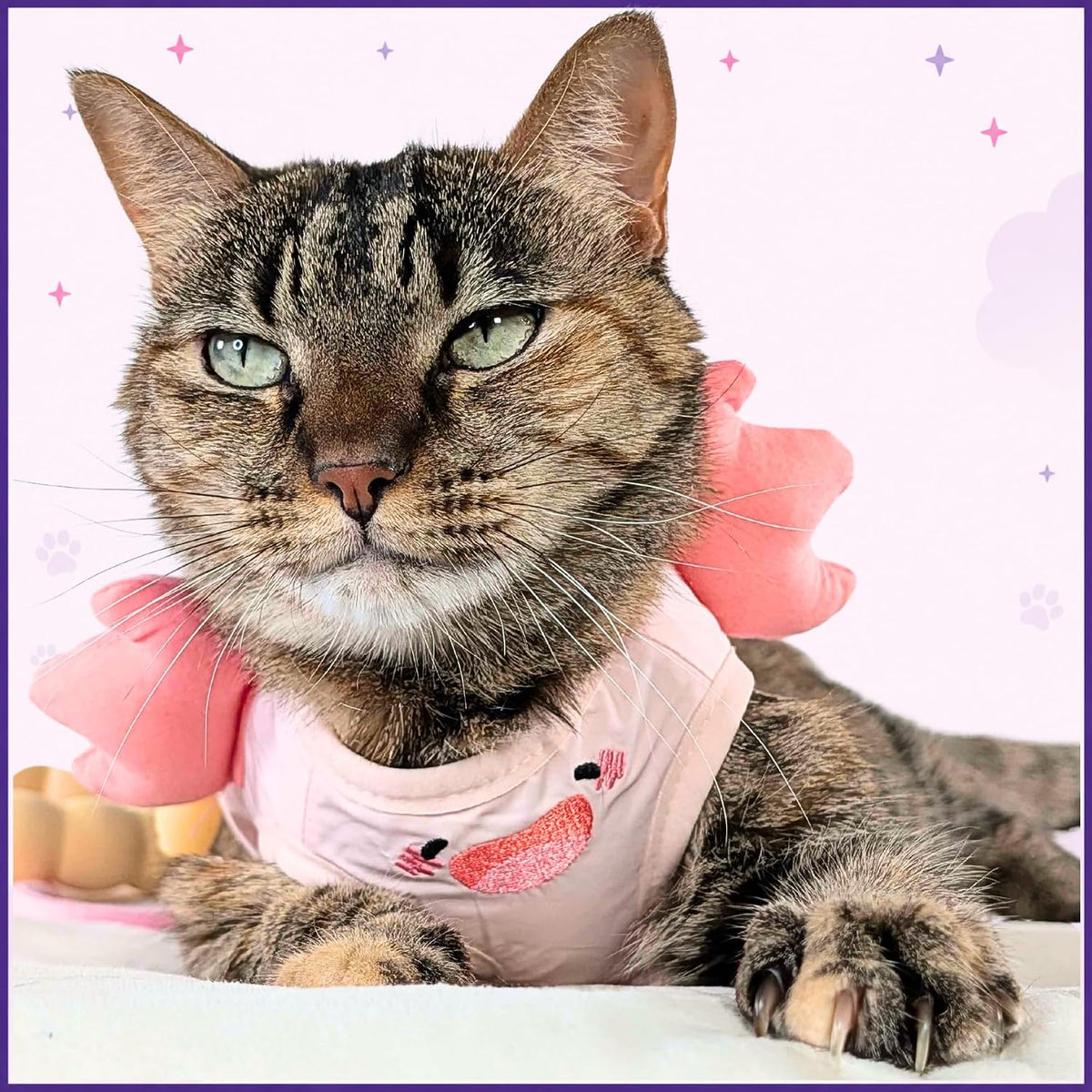 Cat Harness and Leash Set, Step-in Mesh Vest, Pink Axolotl, Small