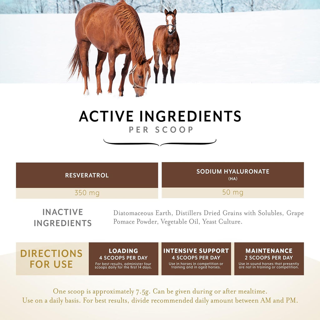 Equithrive Original Joint Powder Horse Supplement, 2 lbs