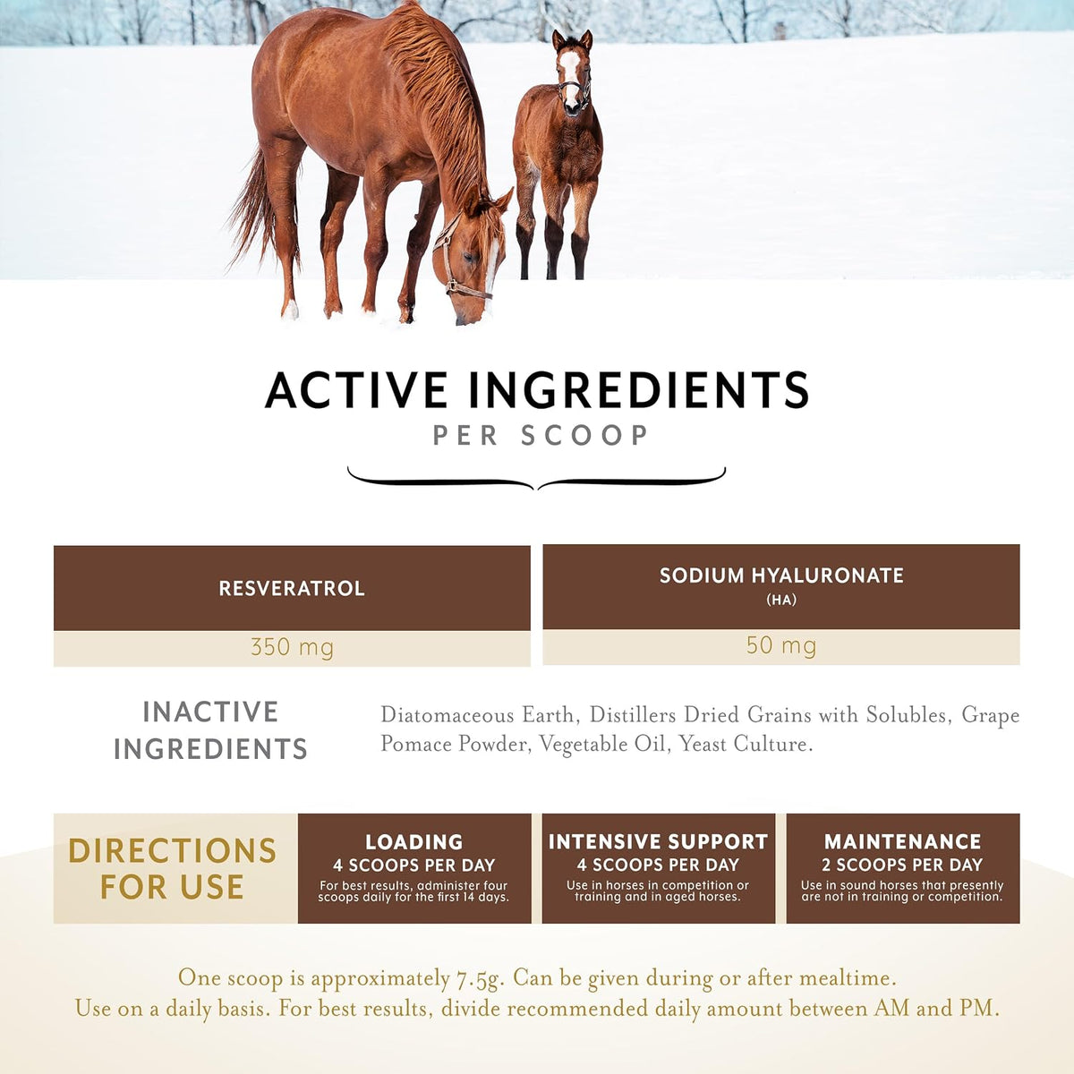 Equithrive Original Joint Powder Horse Supplement, 2 lbs