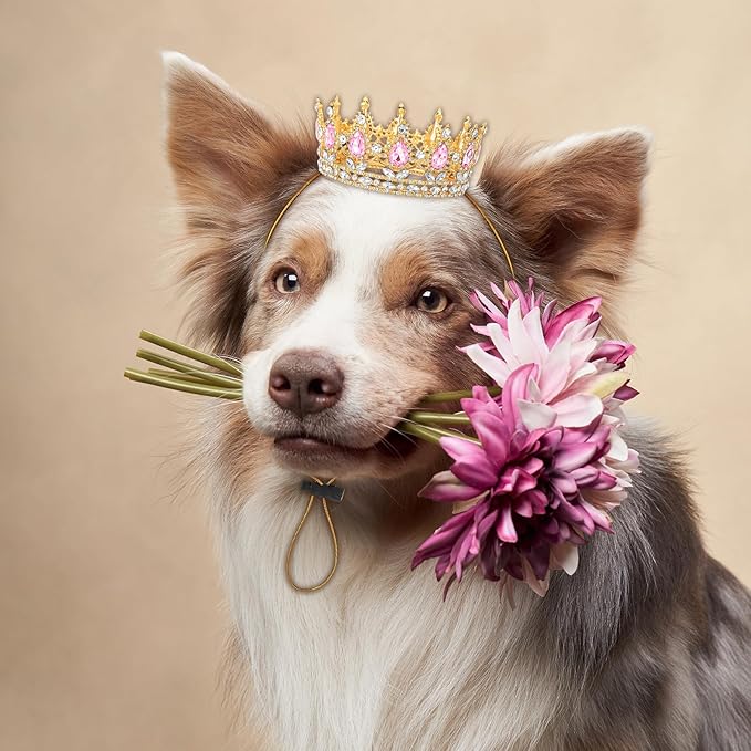 Abbylike Pet Rhinestone King Crown, Queen Crown - Image 5