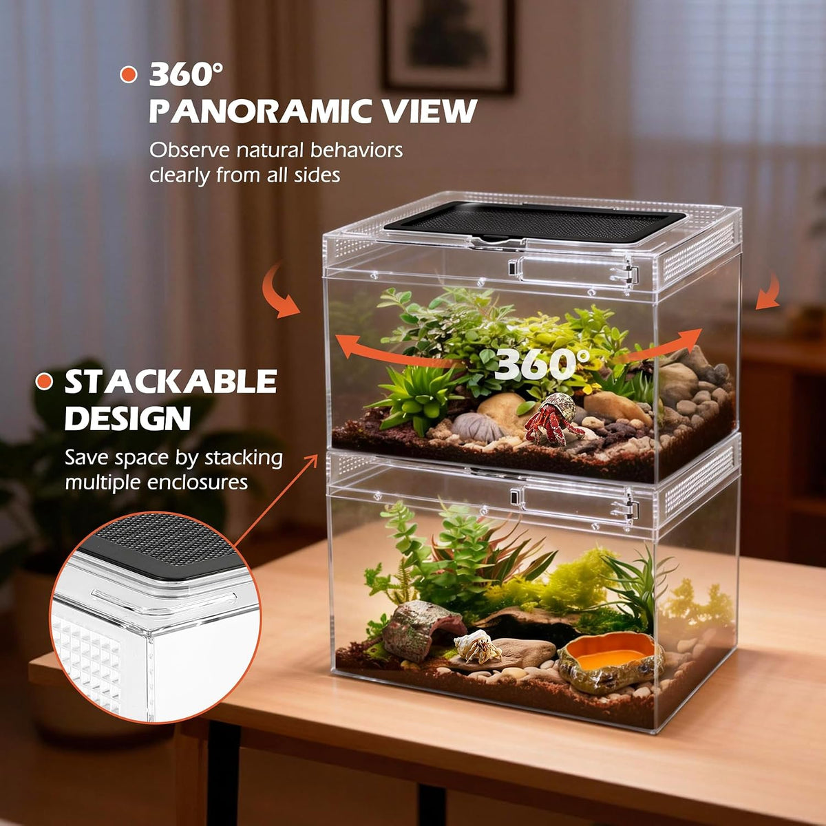 AZV Reptile Terrarium Starter Kit,8 Piece 3.2-Gal Clear PC Hermit Crab Tank