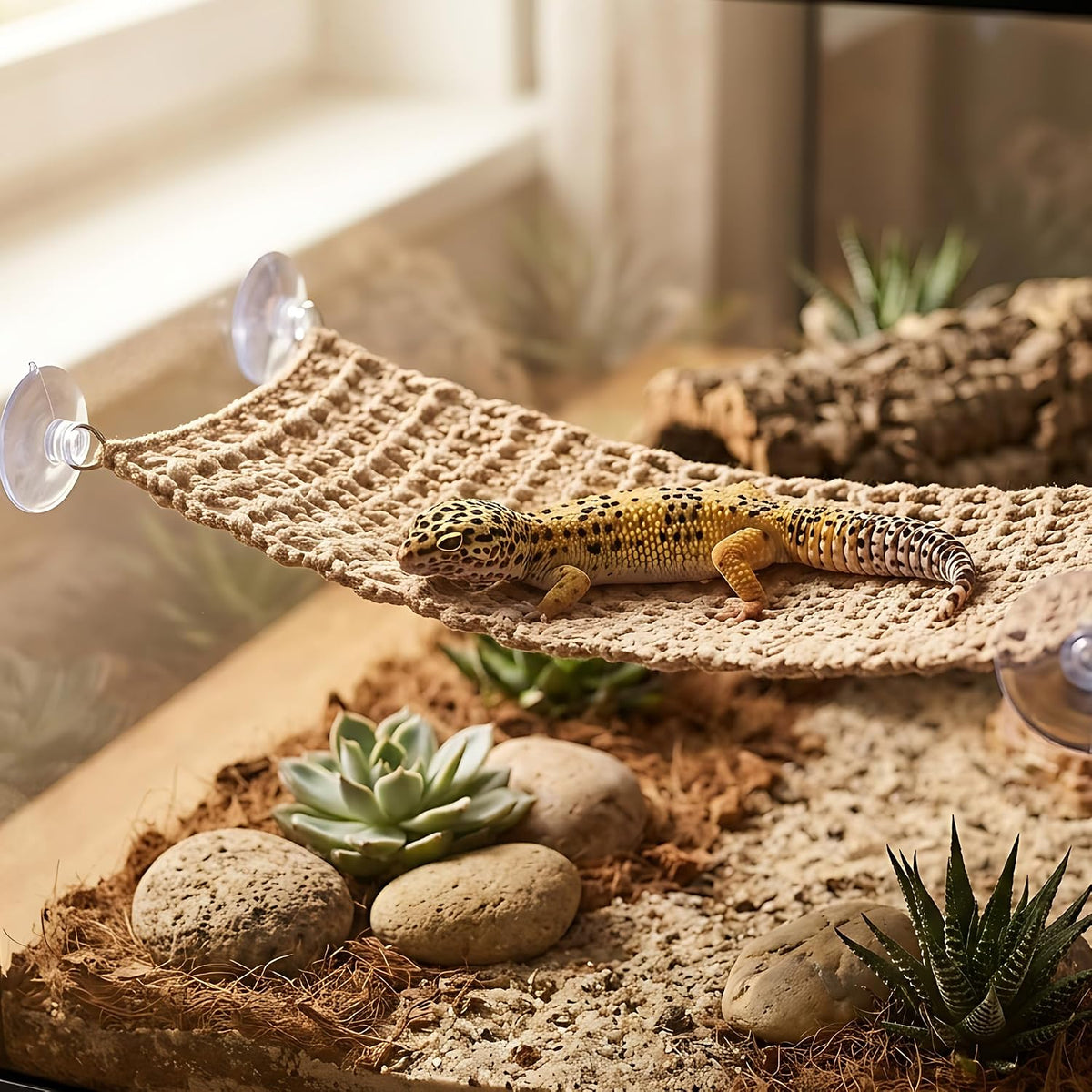 Cotton Reptile Hammock, Bearded Dragon Basking Bed & Snake Accessory