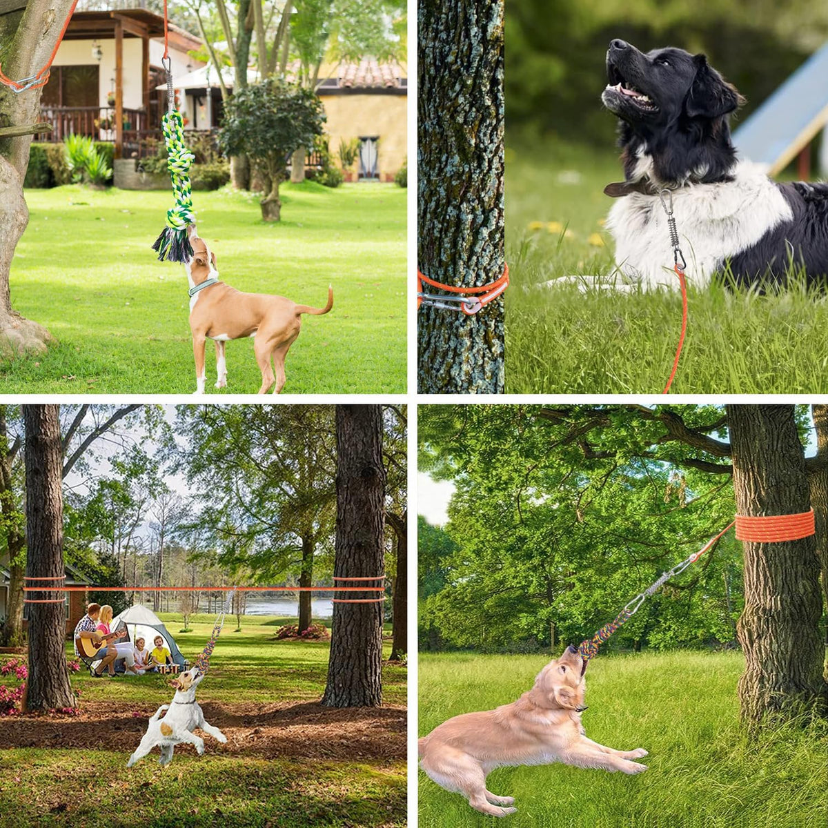 Dog Outdoor Bungee Hanging Tree Tug Toy, Dog Rope Toys