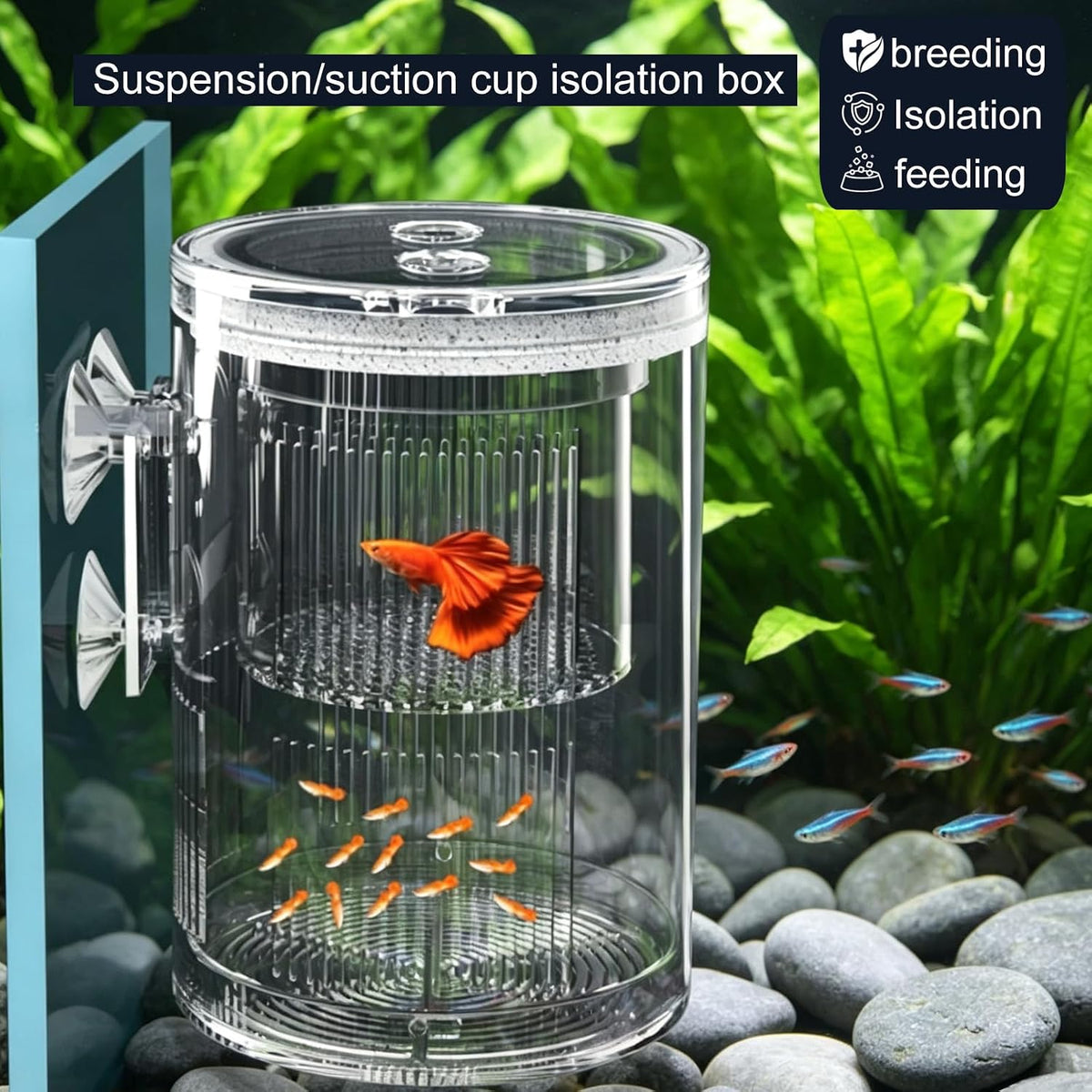 Floating Acrylic Breeder Box for Fish Tank