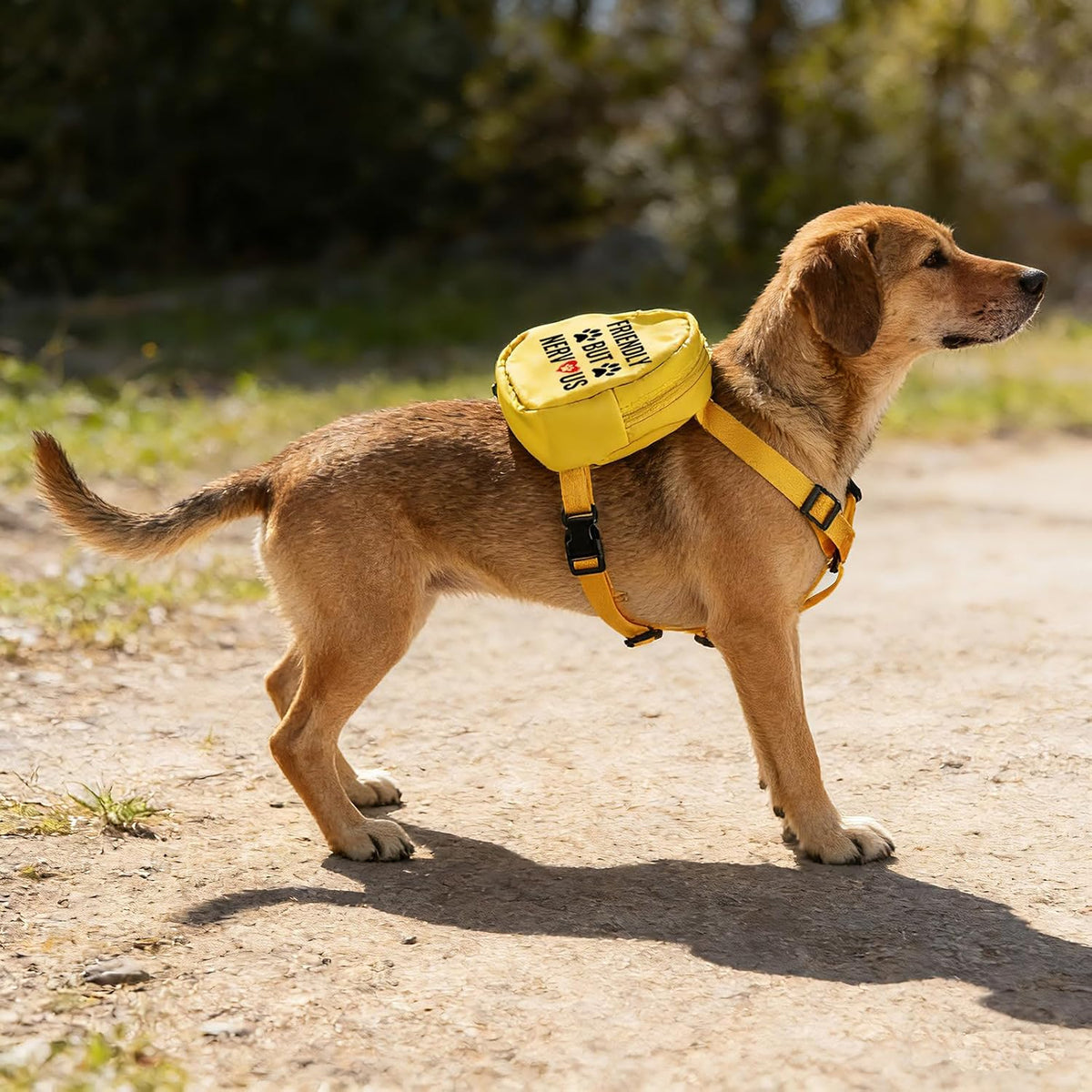 Nervous Dog Backpack Friendly But Nervous Pet Travel Bag for Dogs Social Distancing Gift (Friendly But Nervous)