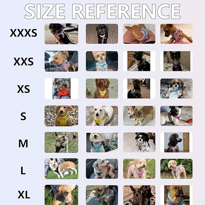 AIITLE Easy Walk Dog Harness and Leash Set - Image 11