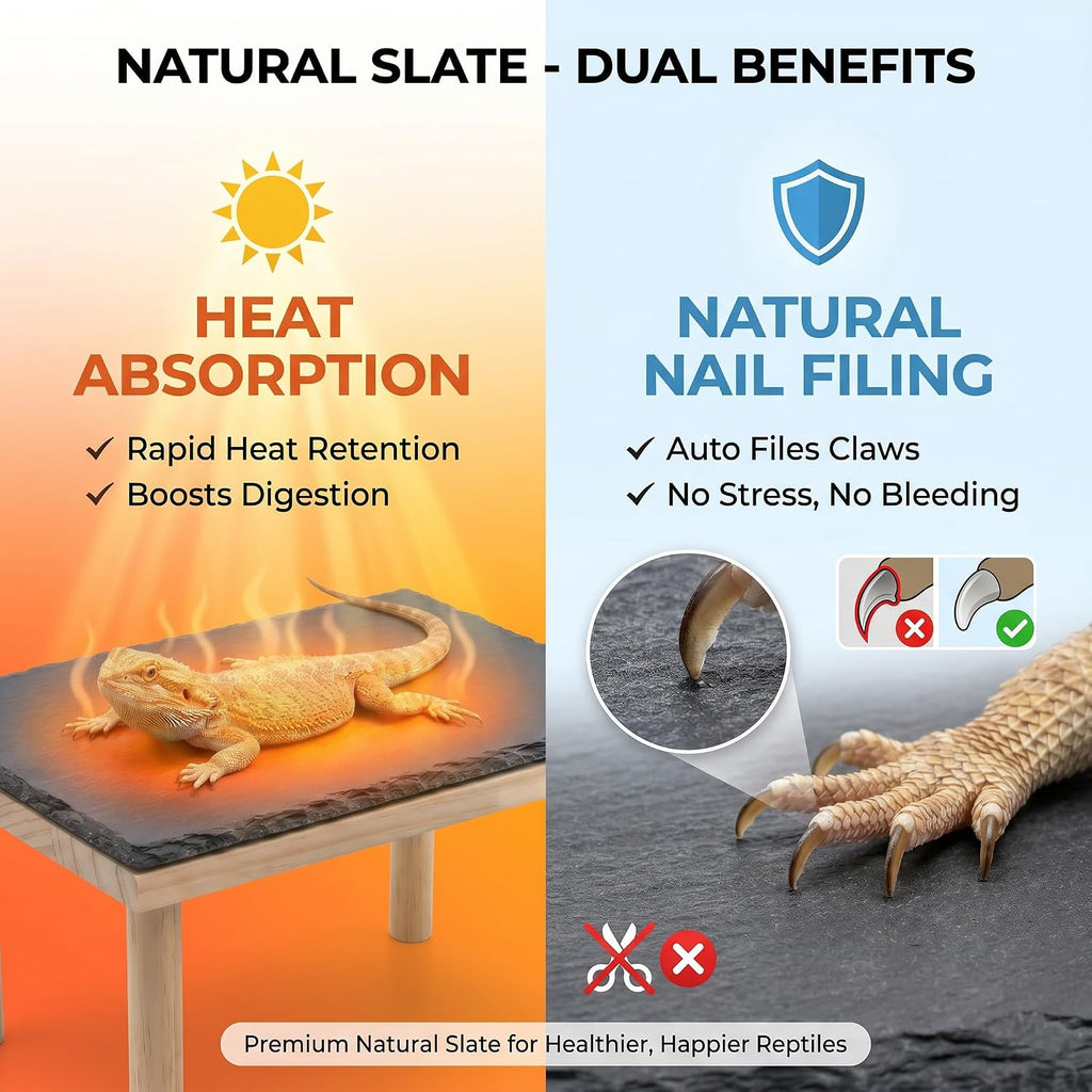 Bearded Dragon Basking Platform, Natural Slate Reptile Basking Rock with Wooden Climbing Ramp, Terrarium Habitat Decor for Lizard, Leopard Gecko, Tortoise, Snake