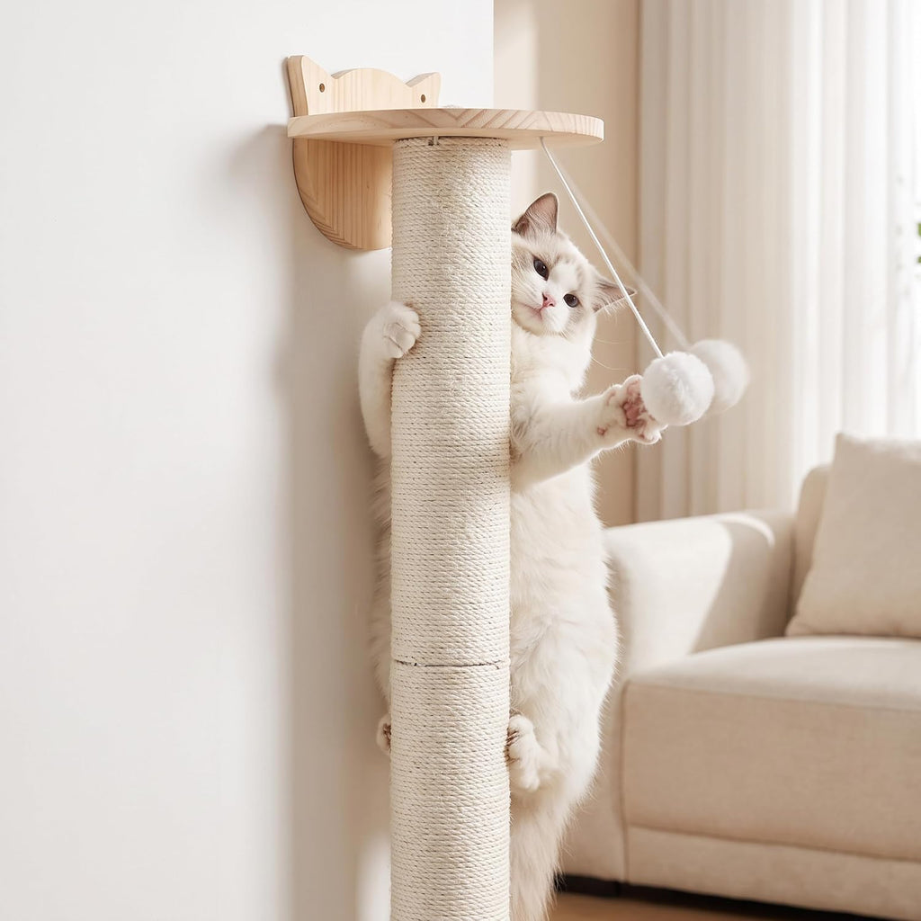 Cat Wall Climbing Post, 60" Tall Cat Climbing Wall Systems for Large Cats