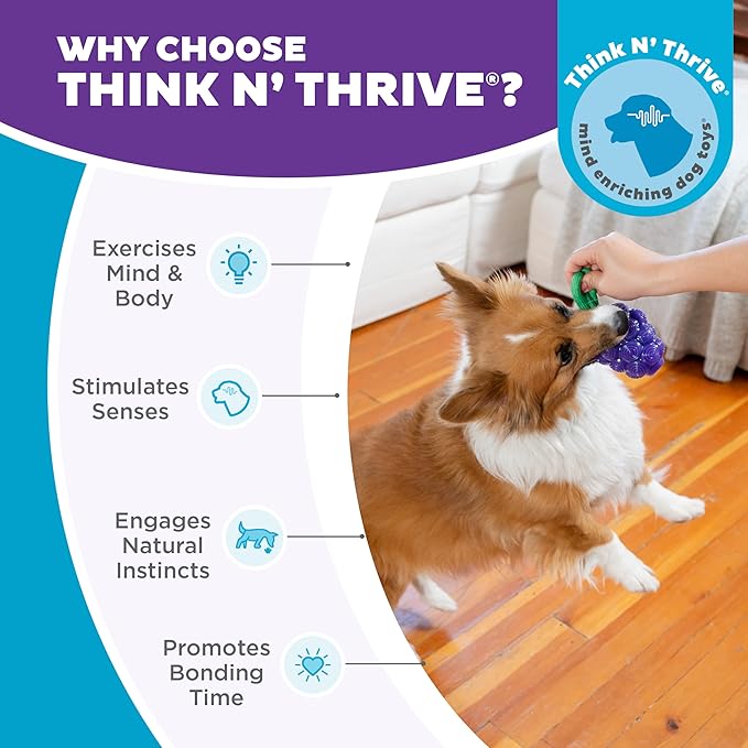 Outward Hound Dental Grapes Dog Toy & Treat Stuffer, 6″ x 3″ Grape-Scent - Image 6