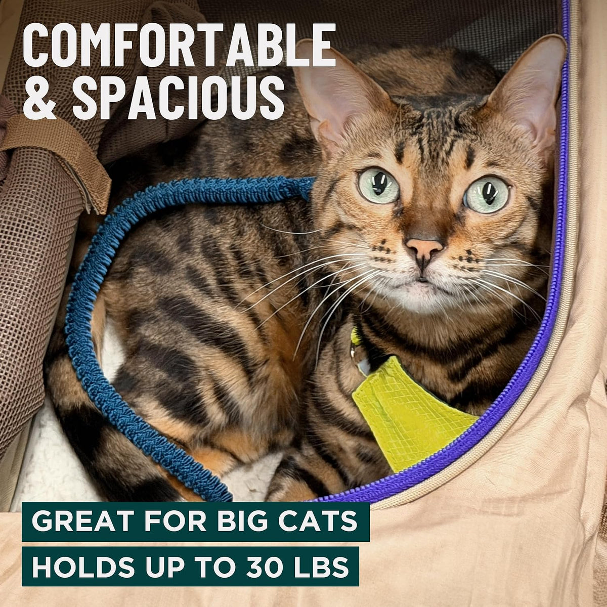 OutdoorBengal Zeppelin™ Airline Approved Cat Carrier Large Soft (Black)