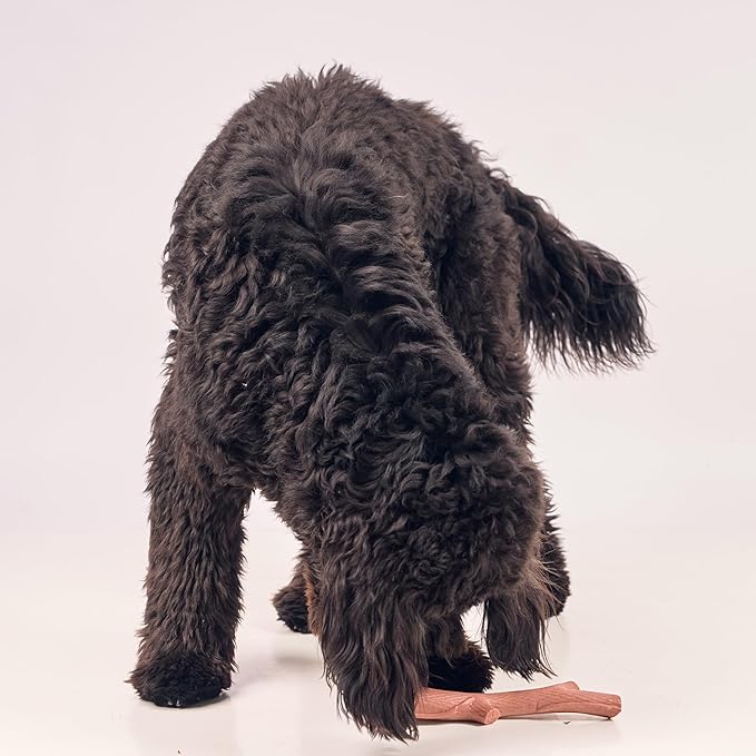 SPOT Bam-Bones Plus Branch -Bamboo Fiber & Nylon, Durable Long Lasting Dog Chew - Image 11