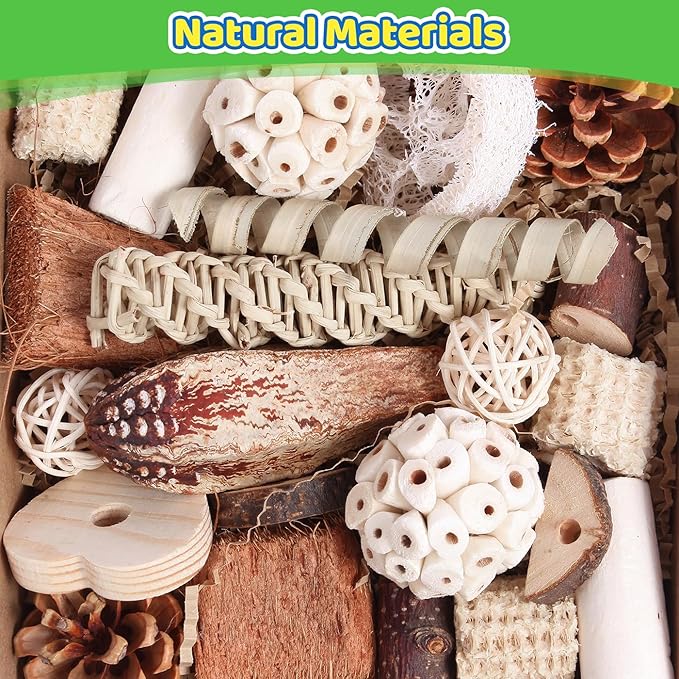 Kyouki Bird Toys Parrot Toys Natural Bird Foraging Box Foot - Image 2