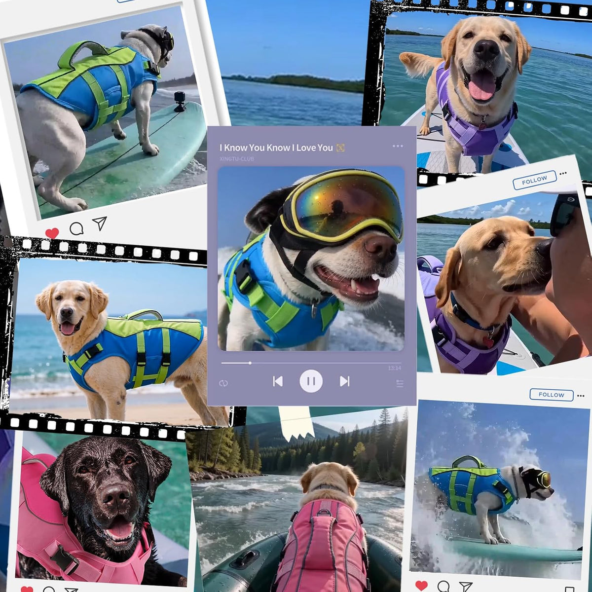 PETDSH Dog Life Jacket Small, High Flotation Dog Life Vest for Swimming Boating, Reflective Puppy Lifejacket with Superior Buoyancy and Rescue Handle, Adjustable Safety Dogs Floating Vests
