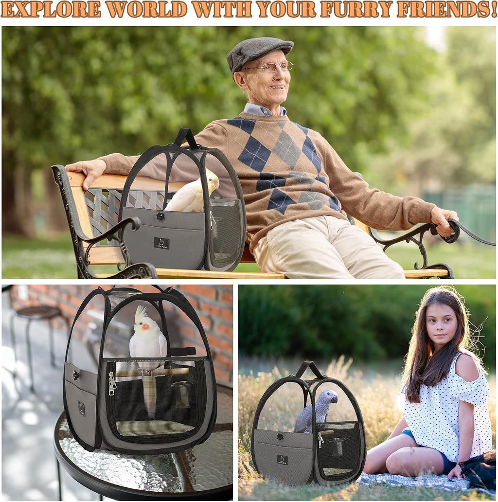 A 4 Pet Bird Carrier for Travel, Clear Windows, Lightweight