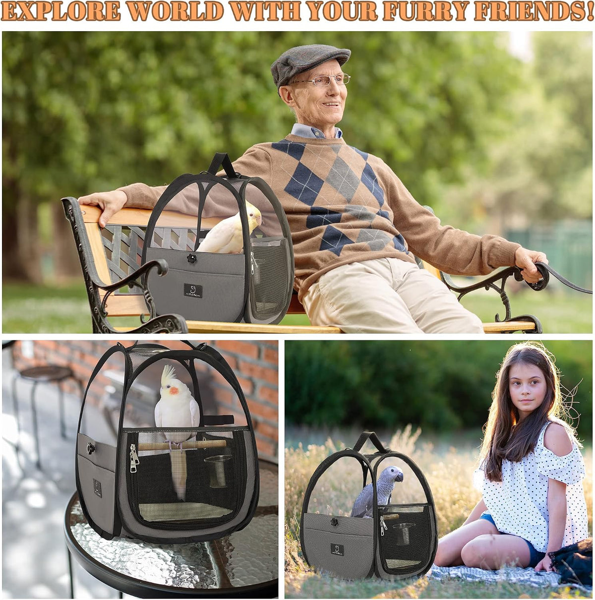 A 4 Pet Bird Carrier for Travel, Clear Windows, Lightweight