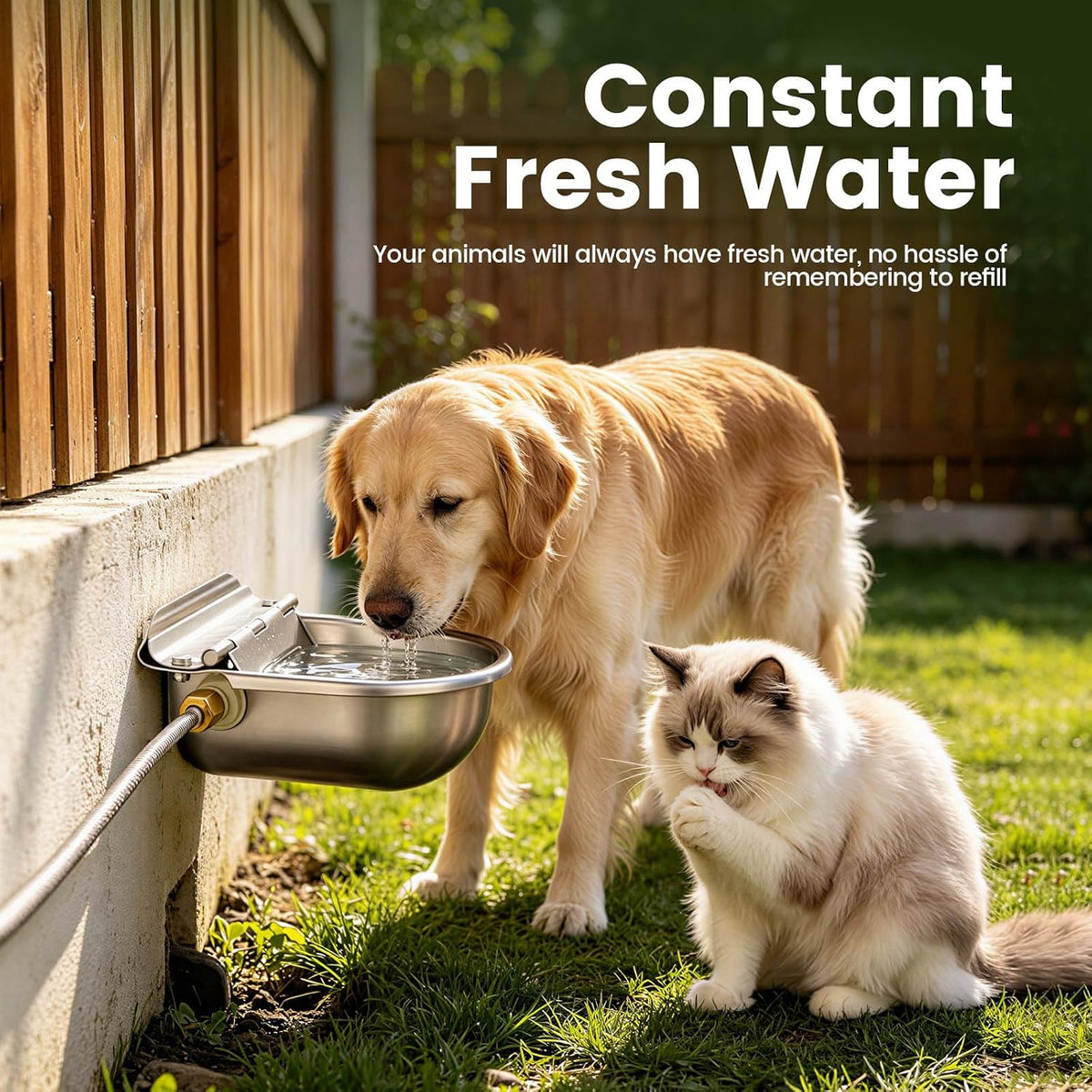 Automatic Dog Water Bowl Dispenser 304 Stainless Steel Dog Waterer